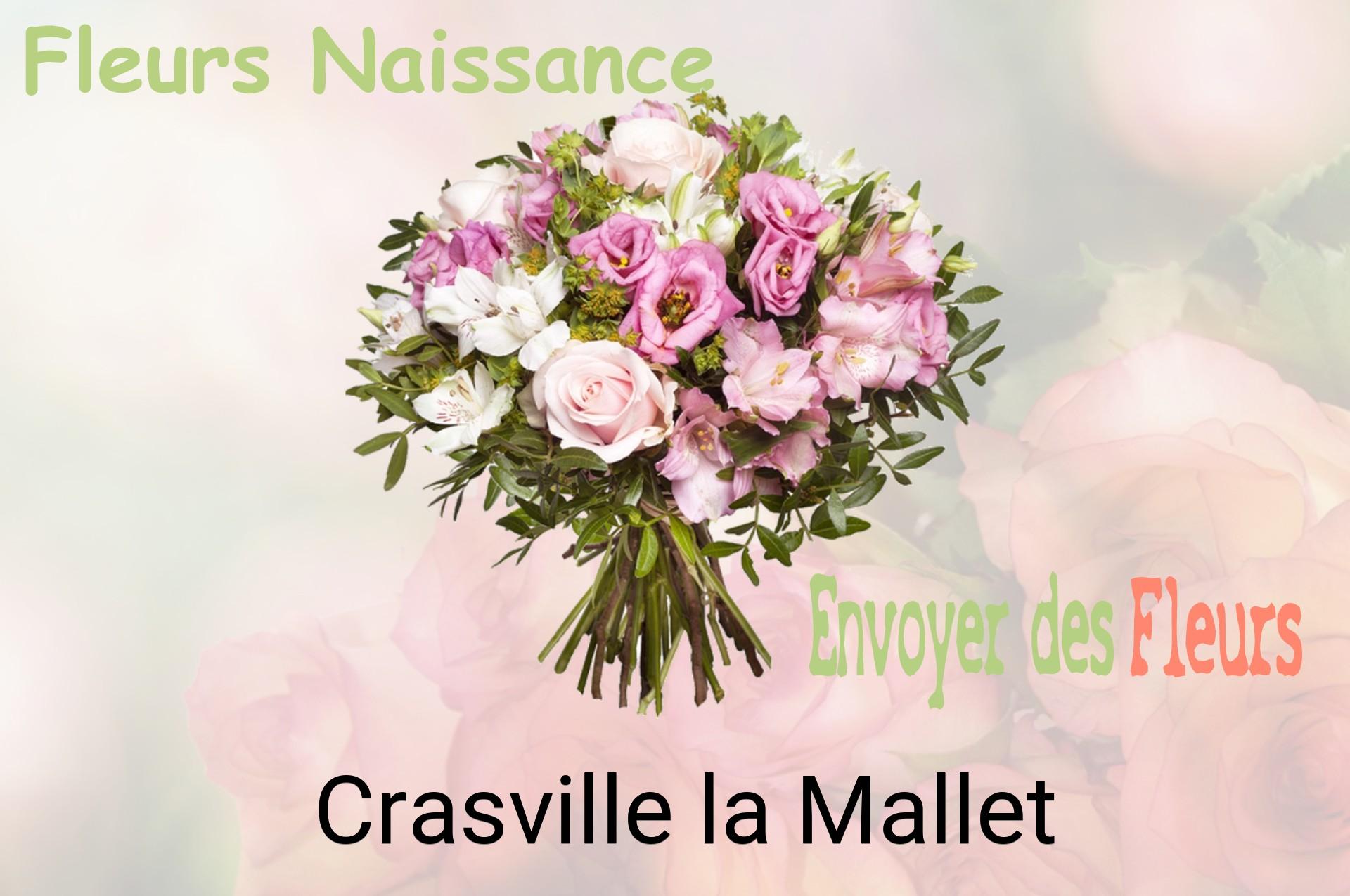 Bouquet de fleurs de naissance livré à Crasville-la-Mallet